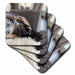 image of set of 4 Coasters - Soft