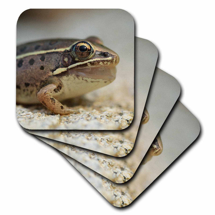 image of set of 8 Coasters - Soft