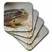 image of set of 4 Ceramic Tile Coasters