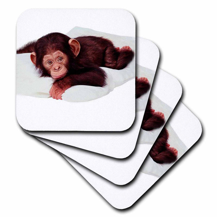 image of set of 8 Coasters - Soft