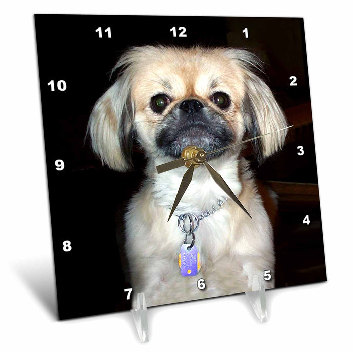 Desk Clock - Pekingese Dogs Pekingese