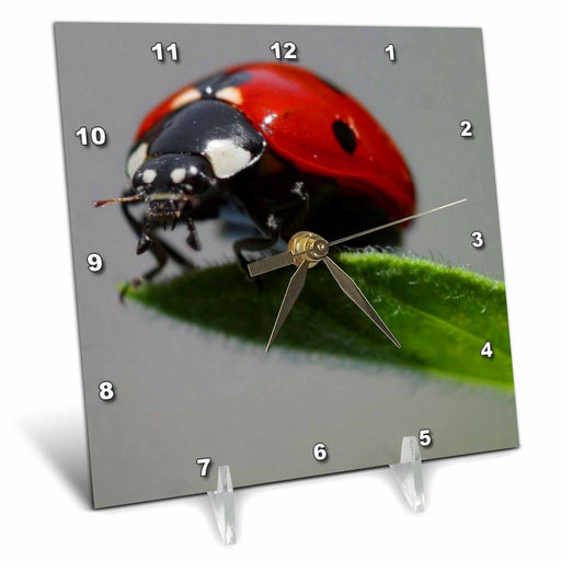 image of 6x6 Desk Clock