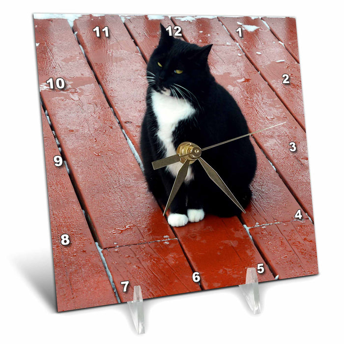 Desk Clock - Little Fat Black and White Kitty on Deck Cat Photography