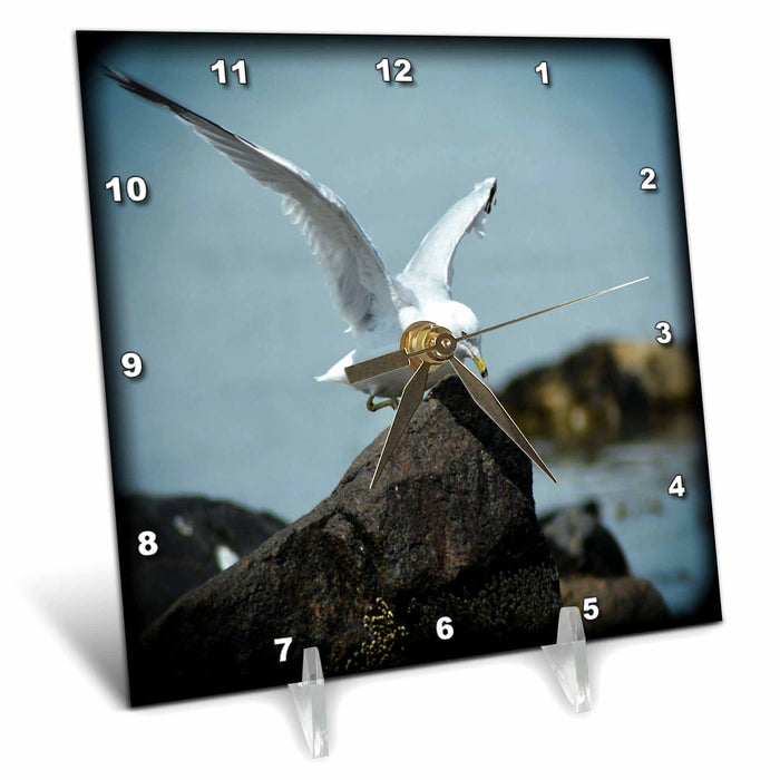 Desk Clock - White Seagull with open Wings is a beautiful white seagull WhiteOaks Photography and Artwork - Seagulls