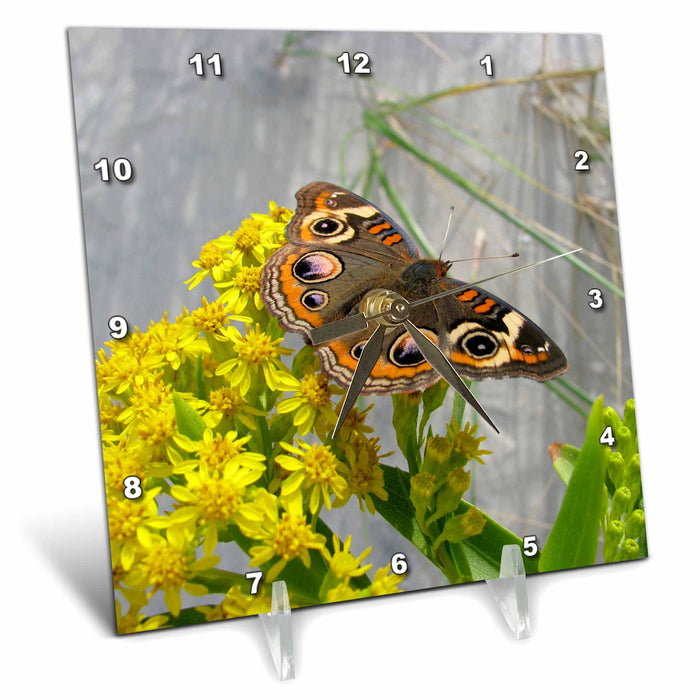 Desk Clock - Butterfly Moth Flowers Yellow Orange Purple Photography Nature