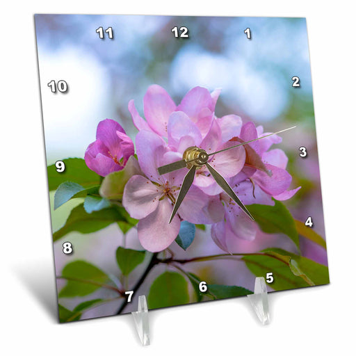 image of 6x6 Desk Clock