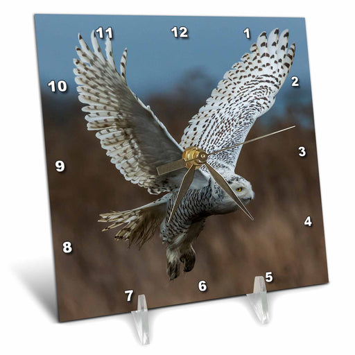 image of 6x6 Desk Clock