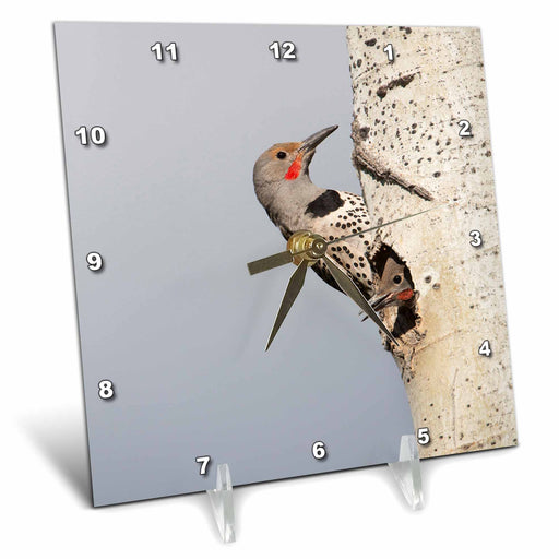 image of 6x6 Desk Clock