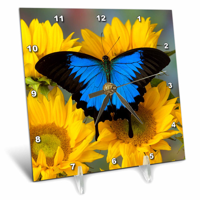 image of 6x6 Desk Clock