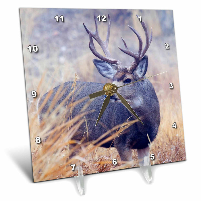 image of 6x6 Desk Clock