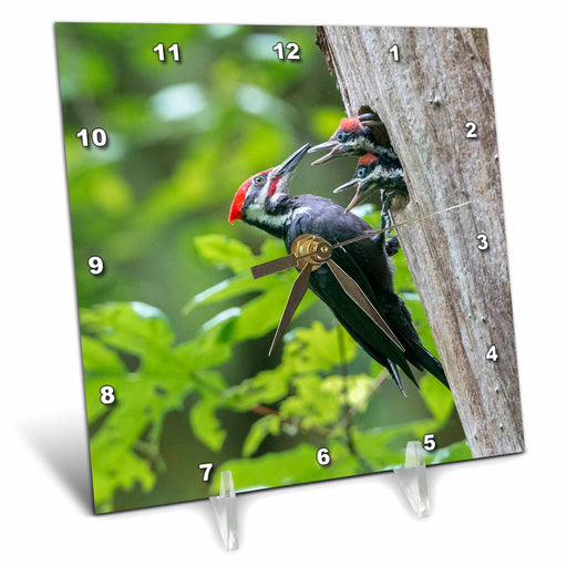 image of 6x6 Desk Clock