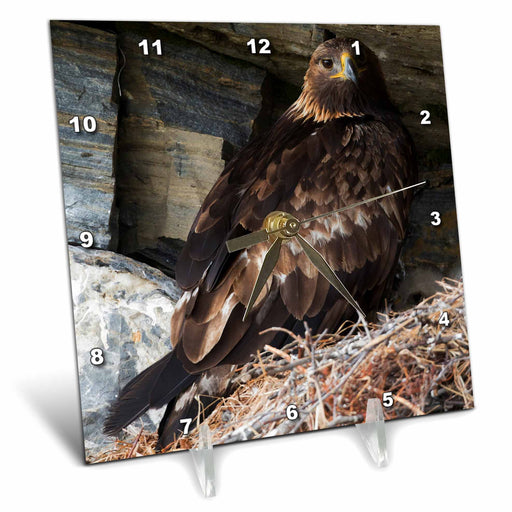 image of 6x6 Desk Clock