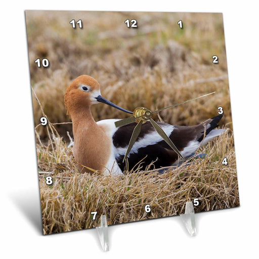 image of 6x6 Desk Clock