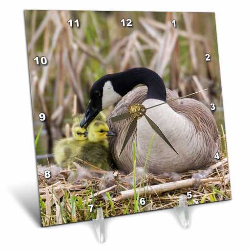 image of 6x6 Desk Clock