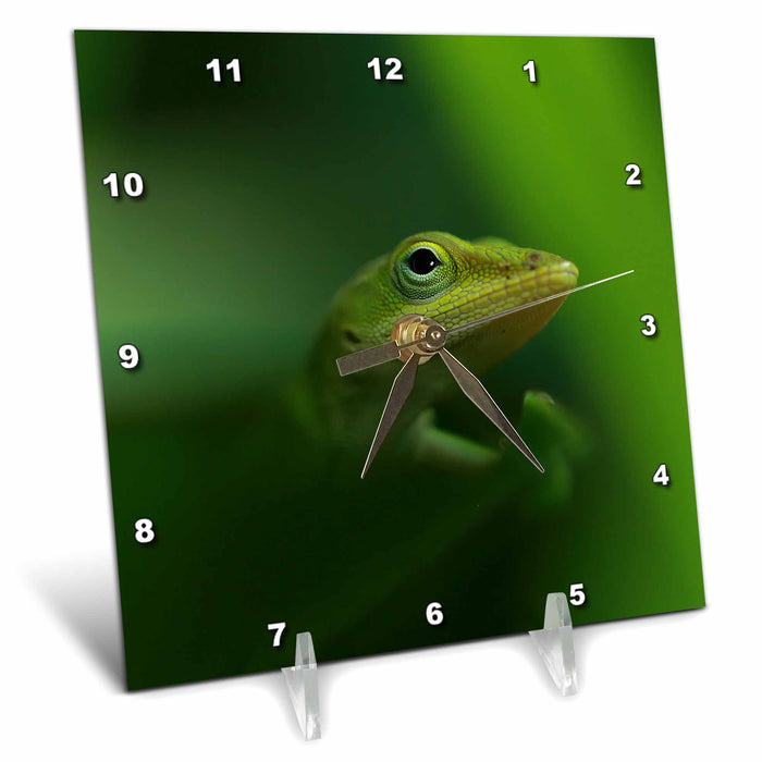 Desk Clock - Macro photo of a green anole lizard blending in with its surroundings. Stamp City - photography