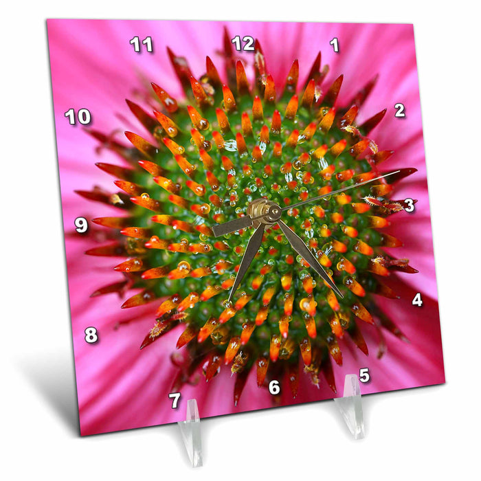 Desk Clock - A macro photograph of the center of a pink coneflower. Stamp City - photography