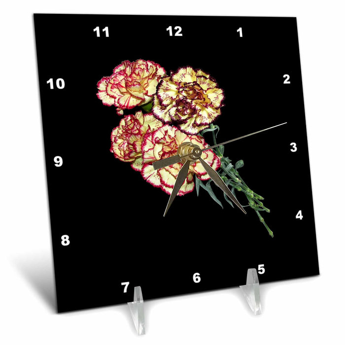 Desk Clock - Colorful Carnations Vector Art Cut Out Vector Art - Carnation Flowers