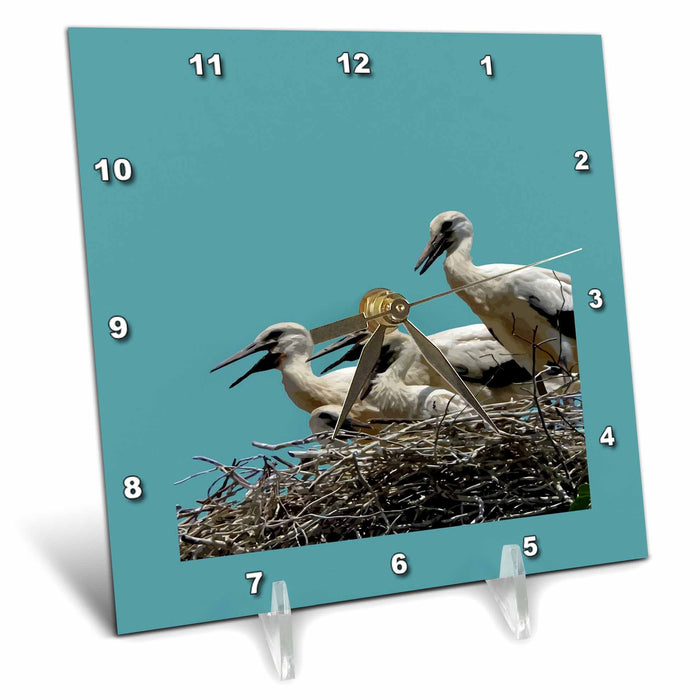 Desk Clock - Storklings And Storklets Getting Ready To Leave The Nest Vector Art - Stork Birds