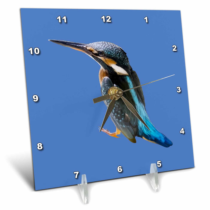 Desk Clock - A Beautiful Diving Water Bird Vector Vector Art - Kingfisher Bird