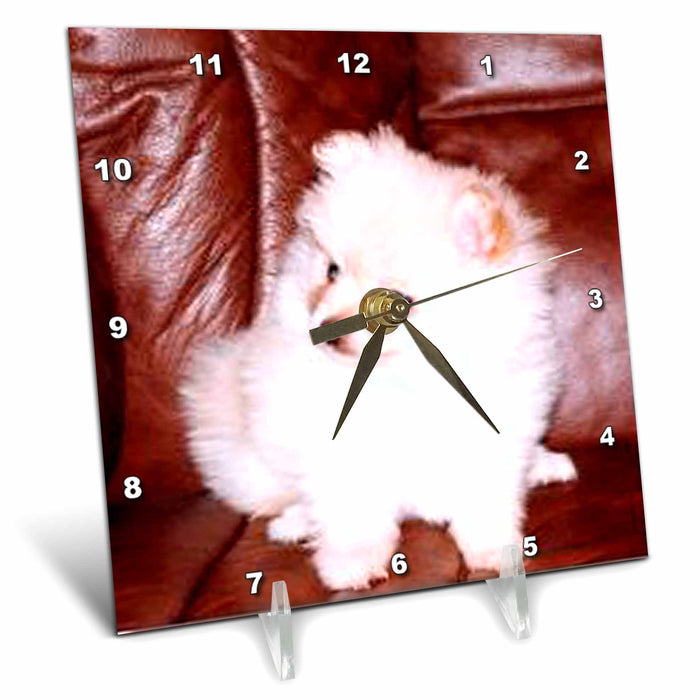 Desk Clock - White Pomeranian Dogs Pomeranian