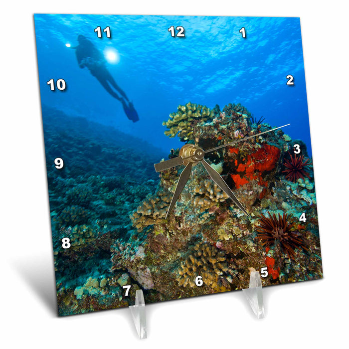 Desk Clock - Scuba divers, Molokini Crater, Maui, Hawaii - US12 SWS0128 - Stuart Westmorland Scuba Diving