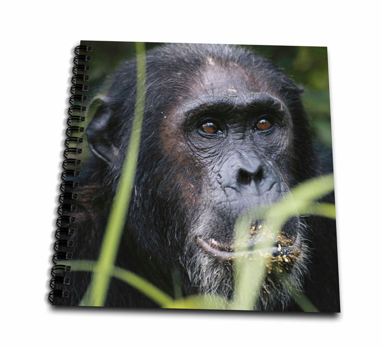 image of Memory Book 12 x 12 inch