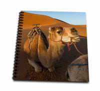 3dRose Danita Delimont - Camels - Morocco, Sahara. A Camel Appears to be Smiling on The Dunes. - Drawing Book