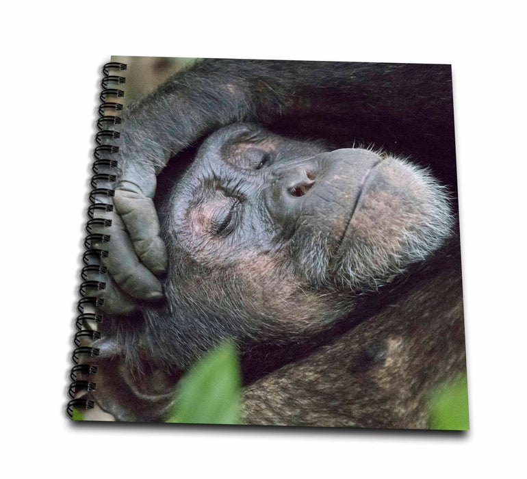 image of Memory Book 12 x 12 inch