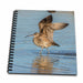 image of Memory Book 12 x 12 inch