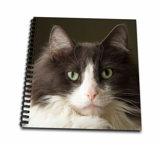 image of Drawing Book 8 x 8 inch