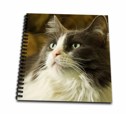 image of Drawing Book 8 x 8 inch