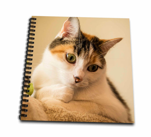 image of Drawing Book 8 x 8 inch