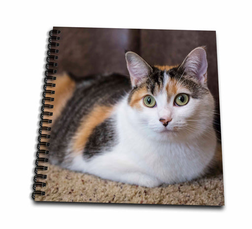 image of Drawing Book 8 x 8 inch