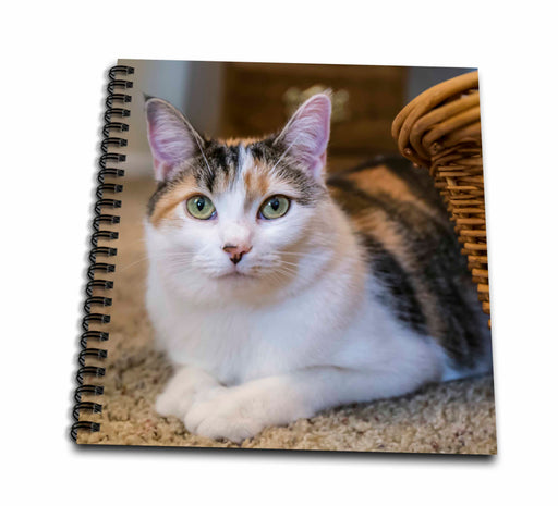 image of Drawing Book 8 x 8 inch