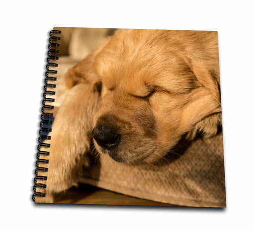 image of Drawing Book 8 x 8 inch