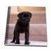 image of Memory Book 12 x 12 inch