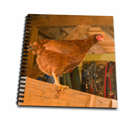 image of Drawing Book 8 x 8 inch