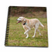 image of Memory Book 12 x 12 inch