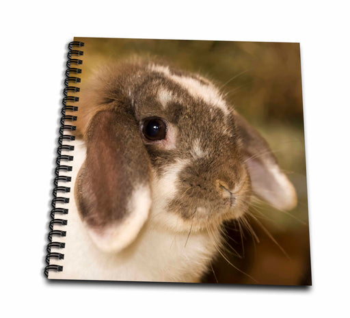 image of Drawing Book 8 x 8 inch