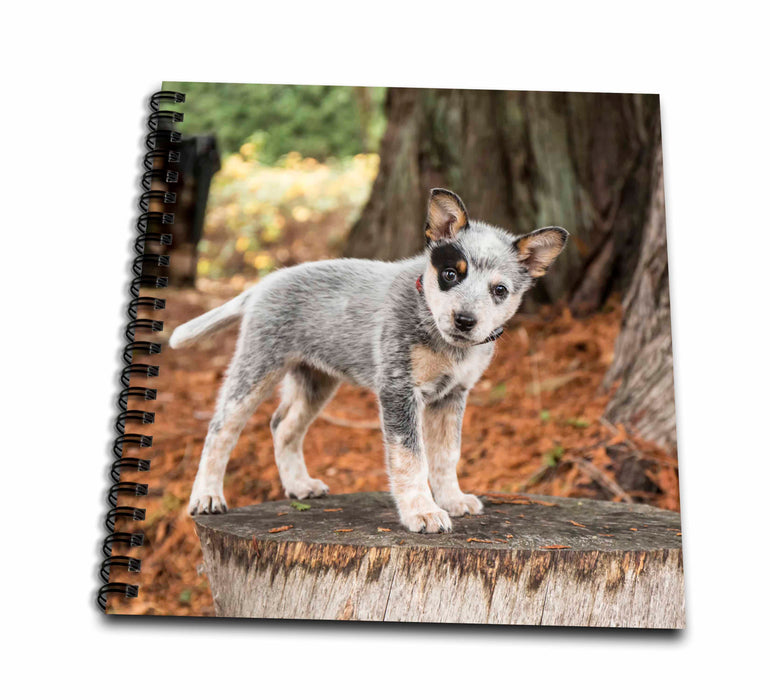 image of Memory Book 12 x 12 inch