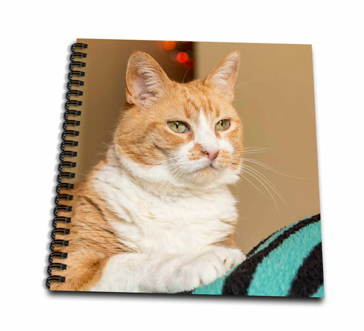 image of Drawing Book 8 x 8 inch