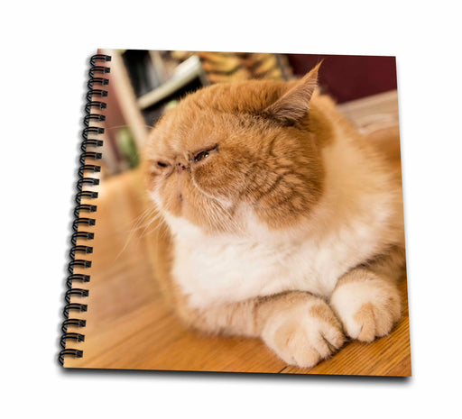 image of Drawing Book 8 x 8 inch