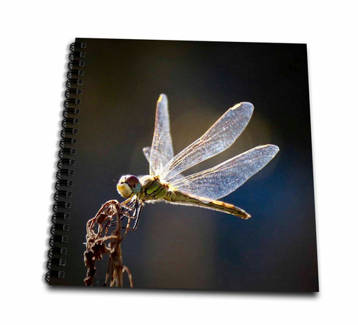 image of Drawing Book 8 x 8 inch