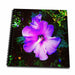 image of Memory Book 12 x 12 inch