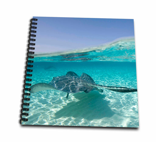 image of Drawing Book 8 x 8 inch