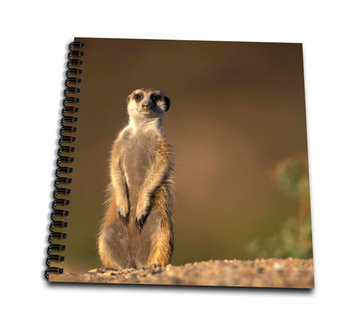 image of Drawing Book 8 x 8 inch