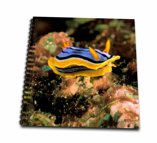 image of Drawing Book 8 x 8 inch