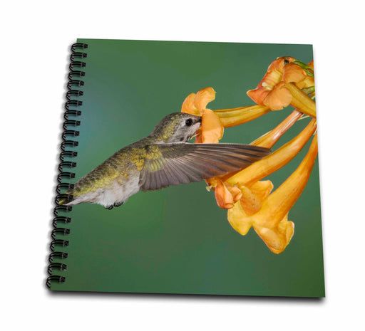 image of Drawing Book 8 x 8 inch