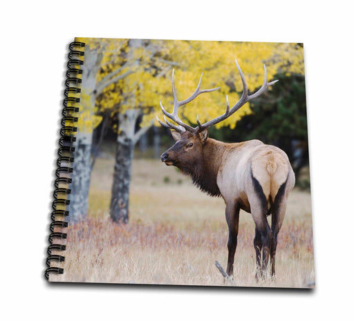 image of Drawing Book 8 x 8 inch