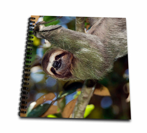 image of Drawing Book 8 x 8 inch